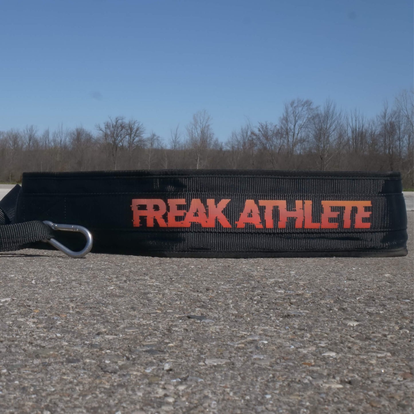 Pro Sled Strap